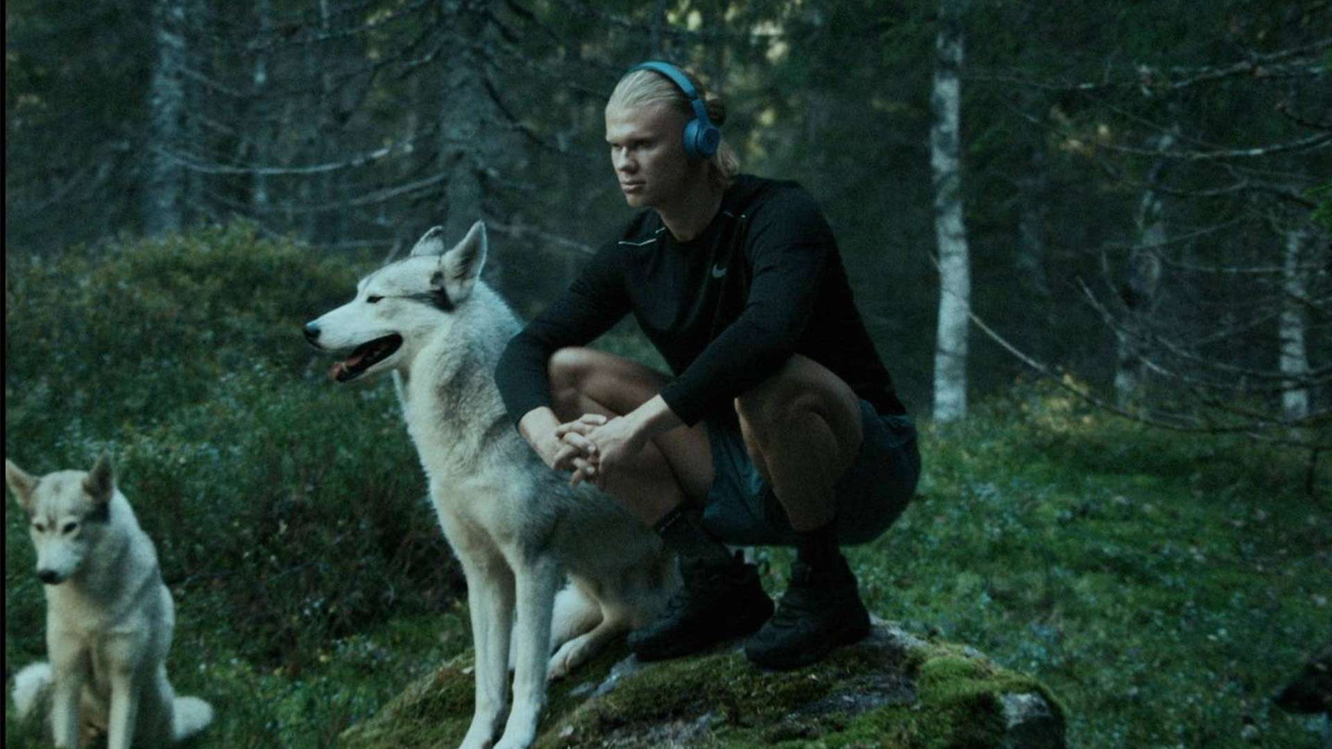 战术解析 战术解析